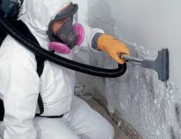 Best Attic Mold Removal  in Alafaya, FL